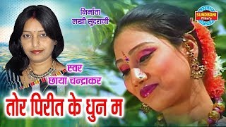 TOR PIRIT KE DHUN MA  तोर पिरीत के धुन म  DILIP SHADANGI amp CHHAYA CHANDRAKAR  CG SONG [upl. by Arretahs]