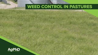 Weed Control In Pastures From Ag PhD Show 1142  Air Date 22320 [upl. by Christiano924]