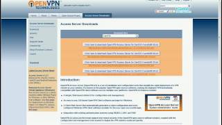 OpenVPN Access Server Initial Configuration [upl. by Hoskinson]