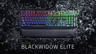 Razer BlackWidow Elite  Feel the Difference [upl. by Earb]