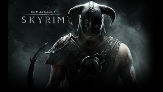 Skyrim  Dragonborn Reborn  Episode 1 [upl. by Aivatal]