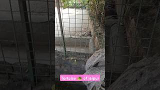 Pink city  jaipur ka zoo [upl. by Aynas]