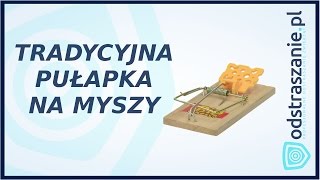 Łapka na myszy The Big Cheese STV 100 Jak pozbyć się myszy [upl. by Urbannai153]