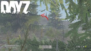 How NOT to ZigZag in DayZ shorts [upl. by Borroff155]