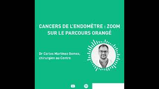 Cancers de l’endomètre  zoom sur le parcours orangé [upl. by Frayda]