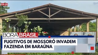 Fugitivos de Mossoró invadem fazenda e agridem homem I Bora Brasil [upl. by Matazzoni871]