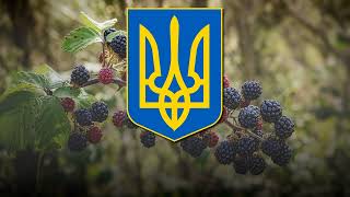 quotМарусяquot quotMarusyaquot  Ukrainian Folk Song [upl. by Kynan]