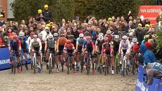 Cyclocross Oudenaarde Men Elite 50fps 01 Nov 2023 [upl. by Gnilrits714]