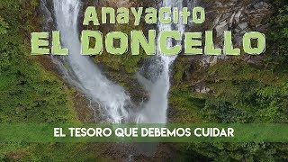 ANAYACITO EL TESORO DE EL DONCELLO CAQUETÁ  COLOMBIA [upl. by Aynotan]