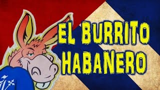 El Burrito Habanero Restaurant in Havana [upl. by Zandra21]