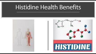 Histidine Benefits Uses amp Side Effects [upl. by Leibman]