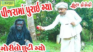 Pinjrama Purai Gya પીંજરામાં પુરાઈ ગ્યા Comedy VideolDeshi Comedy।।Comedy Video ll [upl. by Attenad381]