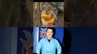 CID officers vs animals cid daya foryou [upl. by Lennahc]