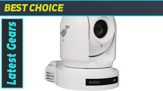 reviewBirdDog Eyes P200 1080p Full NDI PTZ Camera  Best Indoor Security Camera with HDMI [upl. by Inaluiak887]