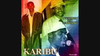 KARIBU  Wazili Wazala [upl. by Yrebmik422]