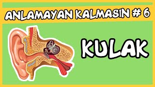 Anlamayan Kalmasın 6 Kulak [upl. by Tterrag142]