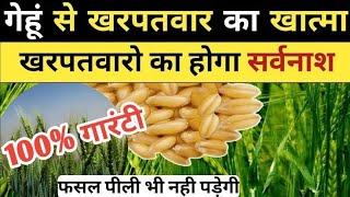 गेहूं में खरपतवार नियंत्रणगेहूं से खरपतवारो का सफायाBest Herbicide for WheatHerbicideWheat [upl. by Eninnaj]