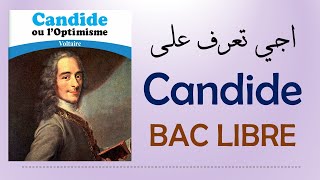 Candide fiche de lecture [upl. by Dorcy]