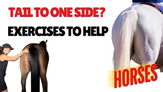 Horse Tail Exercises How to do Horse tails to one side [upl. by Lleinnad295]