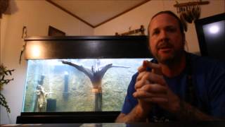 Cycle an aquarium in 2 weeks with Seachem Stability [upl. by Nibur]