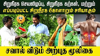 எப்படிப்பட்ட சிறுநீரக கோளாறும் சரியாகும்😮  Kidney Treatment  Iyarkaiye Marundhu [upl. by Gebler]