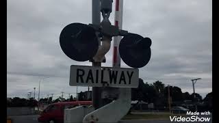 Hewletts Road Level Crossing Mt Maunganui [upl. by Sualocin253]