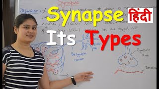 Synapse Physiology in Hindi  Types  Classification of synapse  Functions [upl. by Katushka]