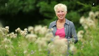 🔴 Gardeners World 2022  Gardening with Carol Klein 2022 Series 13 Episode 1 [upl. by Fortunio]