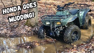 I BOUGHT A HONDA 300 AND TOOK IT MUDDING [upl. by Yadahs]