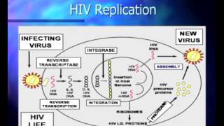 Basic Course in HIV  Pathophysiology and Natural History of HIV Infection [upl. by Suoicserp]