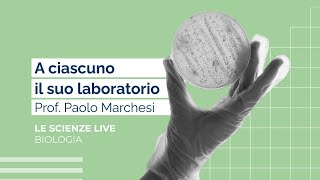 A ciascuno il suo laboratorio  Paolo Marchesi [upl. by Curzon]