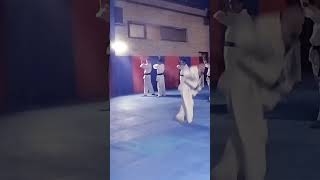 shidokan karate pinan sono goehsanashtari kyokushinkarate karate renshiashtari martialarts [upl. by Aohk]