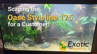 Scaping the Oase Styleline 175 for a Customer  ExoticAquaticanl [upl. by Airrehs822]