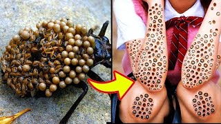 15 Insectos Con Las Picaduras Más VENENOSAS Del Mundo 😨 [upl. by Tobit]