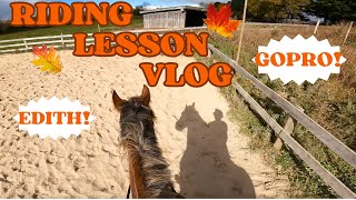 FIRST RIDE AFTER A FALL  Horseback Riding Lessons Vlog [upl. by Mohandas]