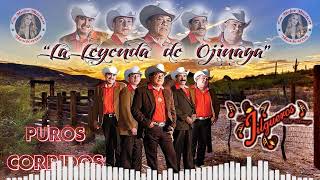 Los Jilgueros Del Arroyo 20 Exitos Inolvidables  Puros Corridos Pa Pistear Mix [upl. by Yakcm664]