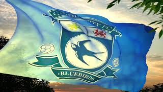 Cardiff City FC Football Anthem Hymn Fan Chant PREMIER LEAGUE [upl. by Kathe]