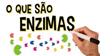 ✅ O QUE SÃO ENZIMAS [upl. by Heyer]