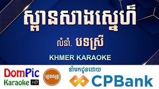 ស្ពានសាងស្នេហ៍ បទស្រី ភ្លេងសុទ្ធ Spean Sang Sne DomPic [upl. by Barkley]