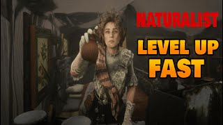 Red Dead Online Tips amp Tricks  How to Level Up Naturalist Role FAST 4K 60fps [upl. by Skill808]