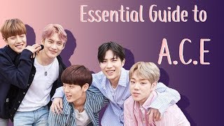 Essential Guide to ACE  Members Music Etc [upl. by Abie]