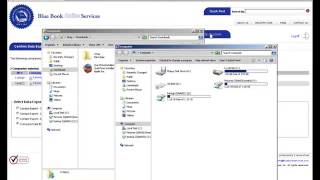 Blue Book Import Simplified Software [upl. by Nerrej]