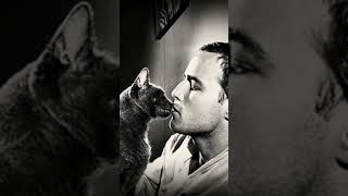 El GATO acaricia Marlon Brando en el padrino [upl. by Guyer]