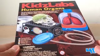 KidzLabs Human Organs 1  Unboxing [upl. by Ehman449]