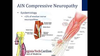 Uncommon Upper Extremity Neuropathies  Dr McCarthy 3252024 [upl. by Alokin]