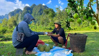 Harvesting grapefruit to sell to buy rice to cook porridge for sick children [upl. by Aroz]