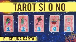 Tarot Sí o No Pregunta lo que quieras 🔮✨ [upl. by Whitcomb]