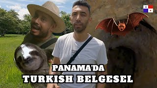 Panamada Tembel hayvan ve Yarasa Mağarası 🇵🇦 [upl. by Celestina]