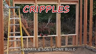 Installing Cripples and a Meter Main Panel DIY Home Build [upl. by Solegnave]