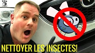 Comment enlever les INSECTES sur une voiture FACILE [upl. by Anna-Diane575]